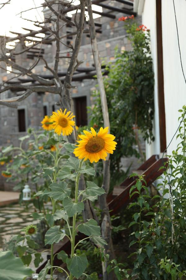 Akvaryum Hotel Bozcaada Extérieur photo